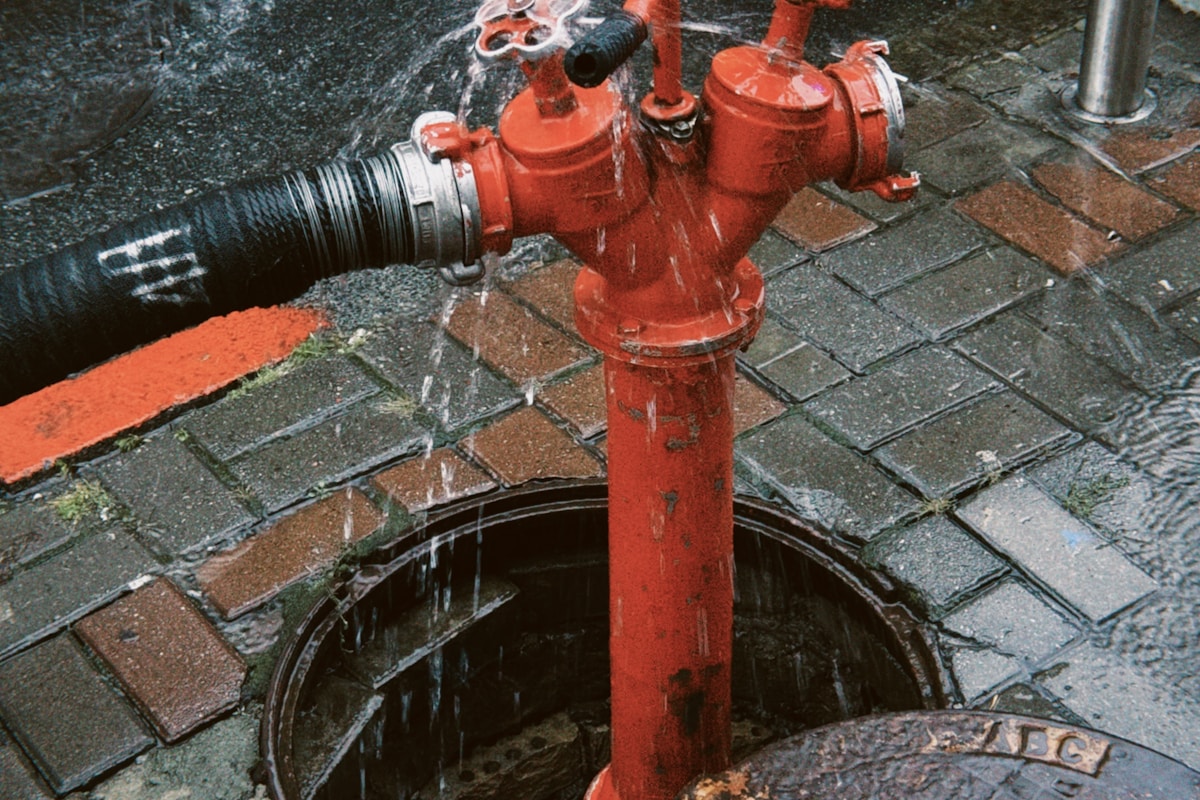 Water Extraction service in Greeley, CO